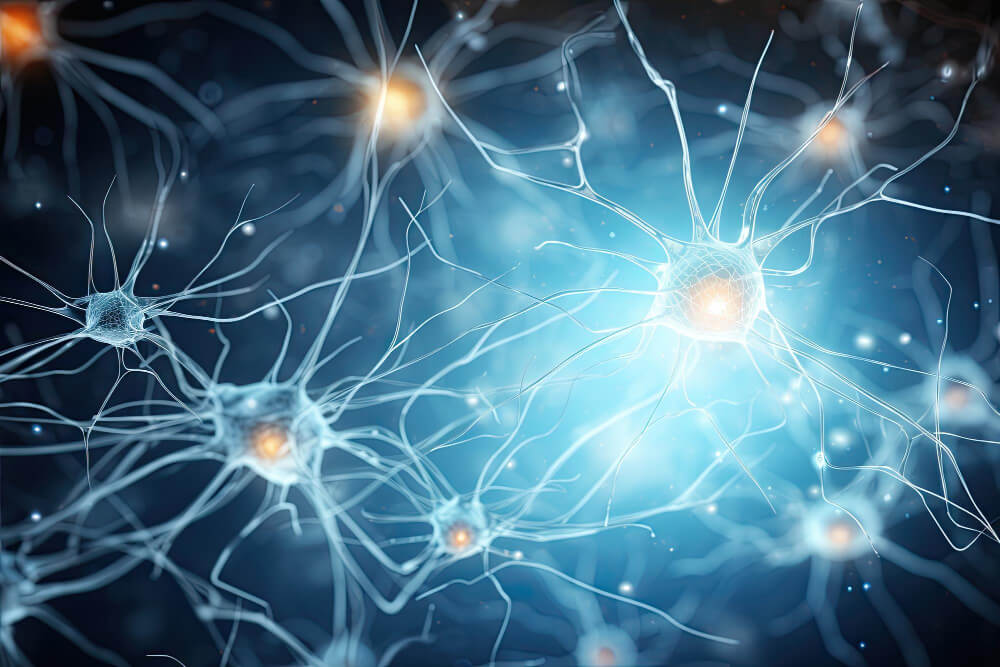 neuromarketing-beratung